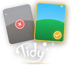 Ícone do aplicativo Tidy