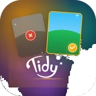 Tidy Icon White
