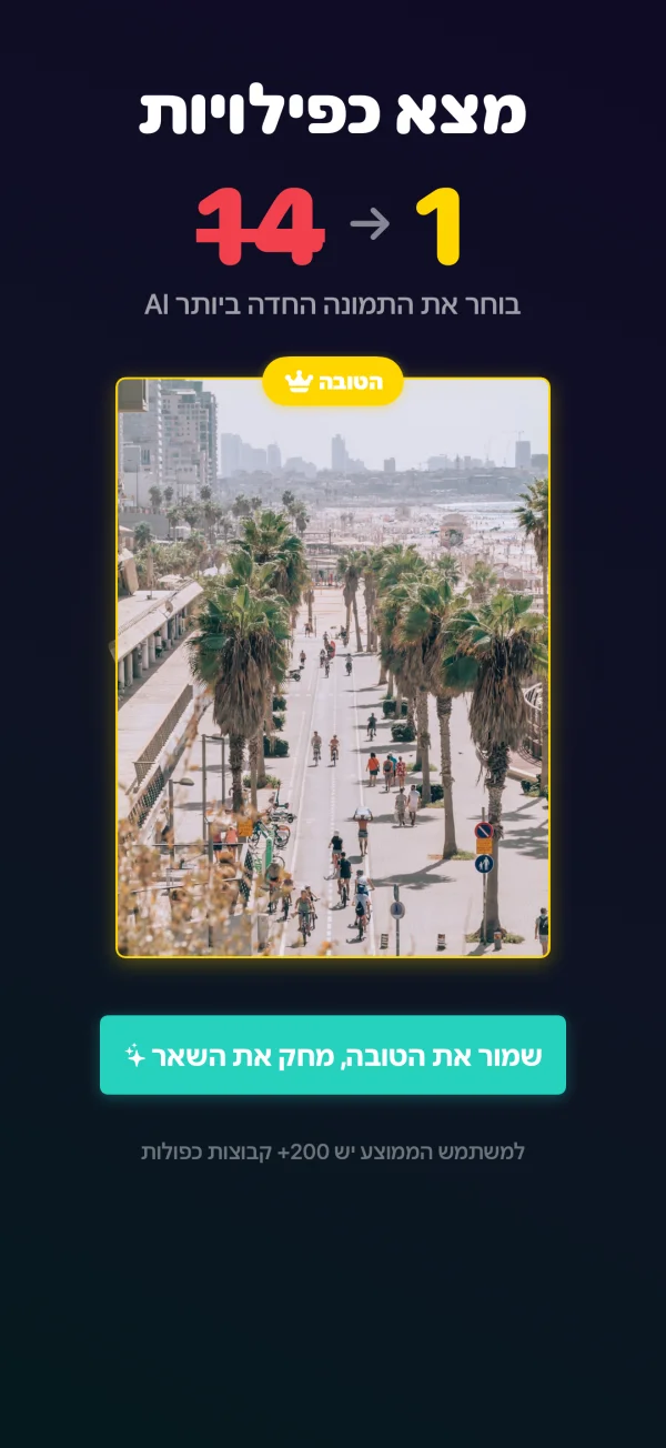זיהוי כפילויות