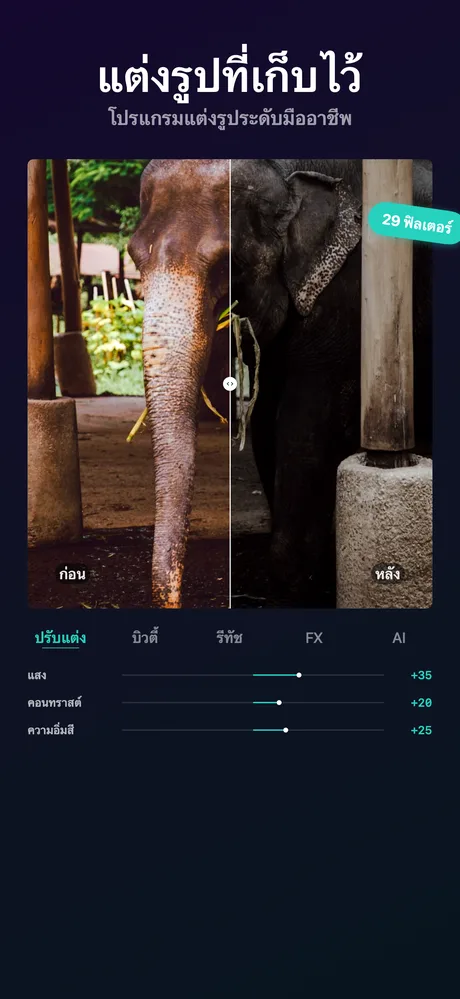 โปรแกรมแก้ไขภาพมืออาชีพ
