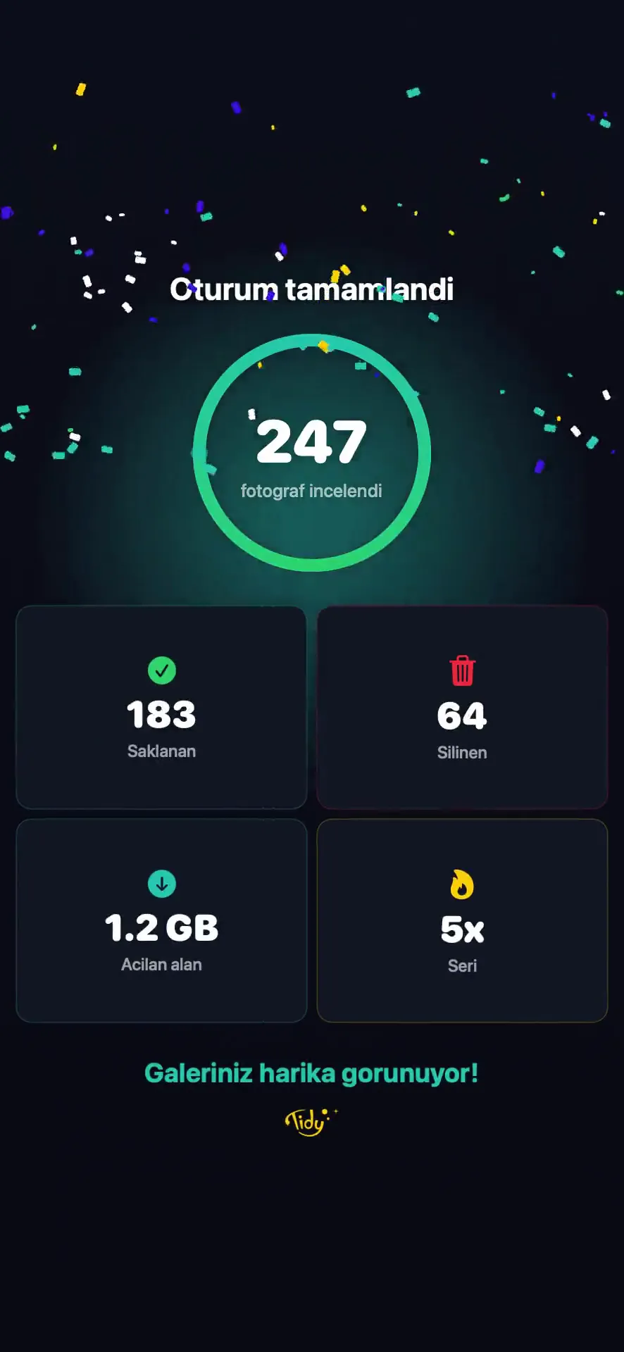 Tidy temizlik sonucu - 23.847'den 4.291 fotoğrafa, 38,2 GB açıldı